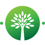 The Bodhi Group